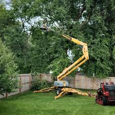 Trusted Pine Beach, NJ Tree Services Experts