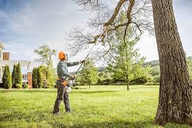 How Our Tree Care Process Works  in  Pine Beach, NJ